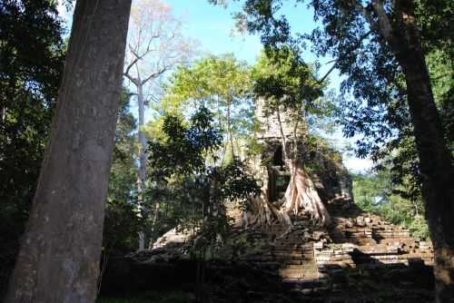 ANGKOR WAT HALF MARATHON 2013